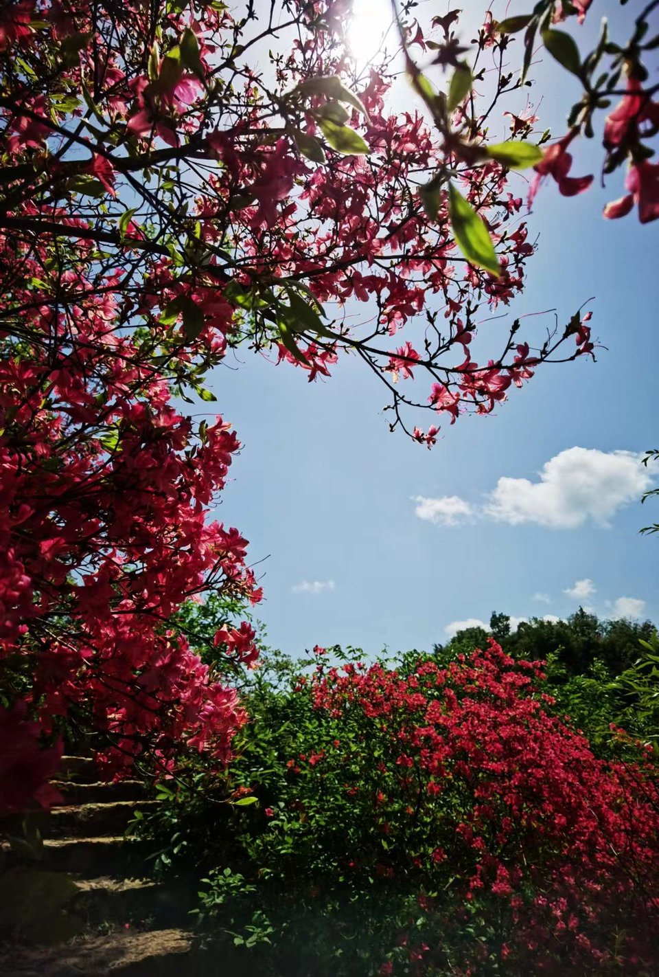 FRMn3OE-PQ1rxlkp44nRBbornz8vr6R1Gd8M2bdTPtCS1W3yD0uQXBT_ynWPLvVl