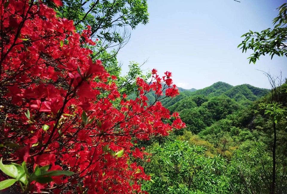 FRMn3OE-PQ1rxlkp44nRBYXFsZ30wkXf3D2Y5yamaqM4XDfjX4gf8PDf6SUdEVQc