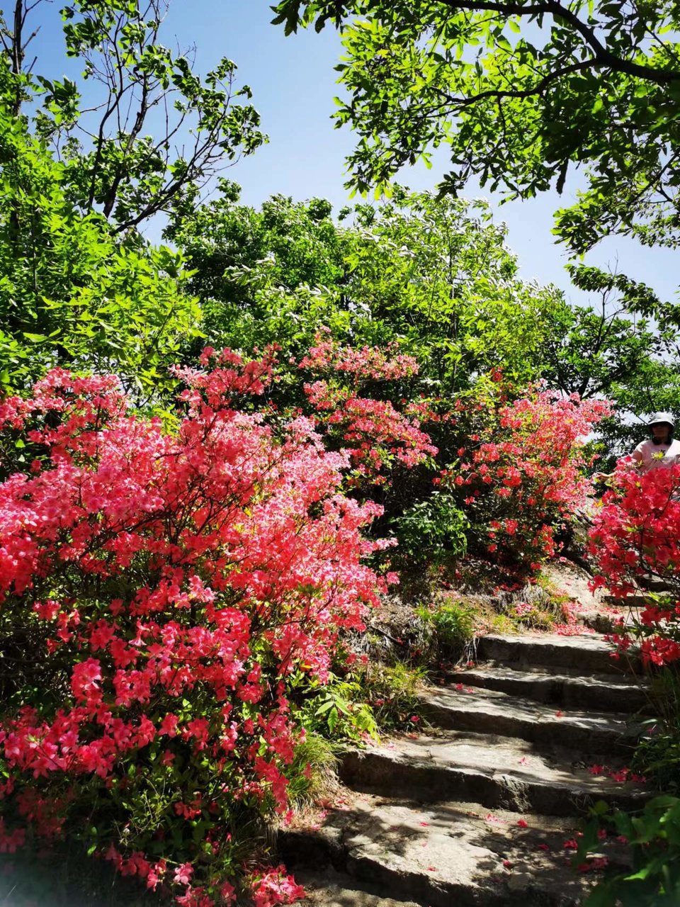 FRMn3OE-PQ1rxlkp44nRBZnxxYL-qsm6ESMEOzKjH0i5IoZ3du6XuE9JKnkkqmh0