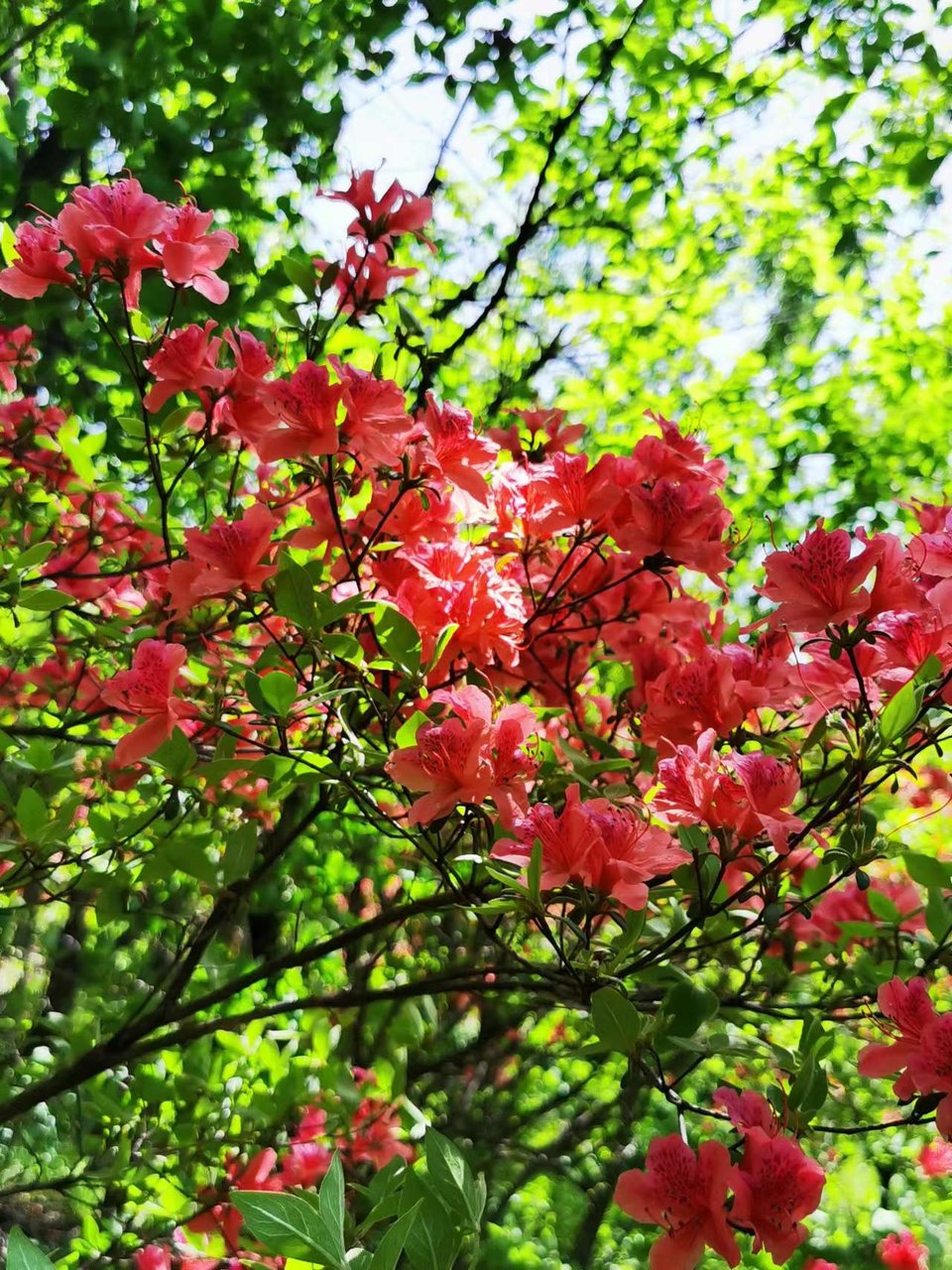 FRMn3OE-PQ1rxlkp44nRBQyNKqHx48yeICQomLagh9Zy5Xcl1-wF3Y4C5geujEQ8