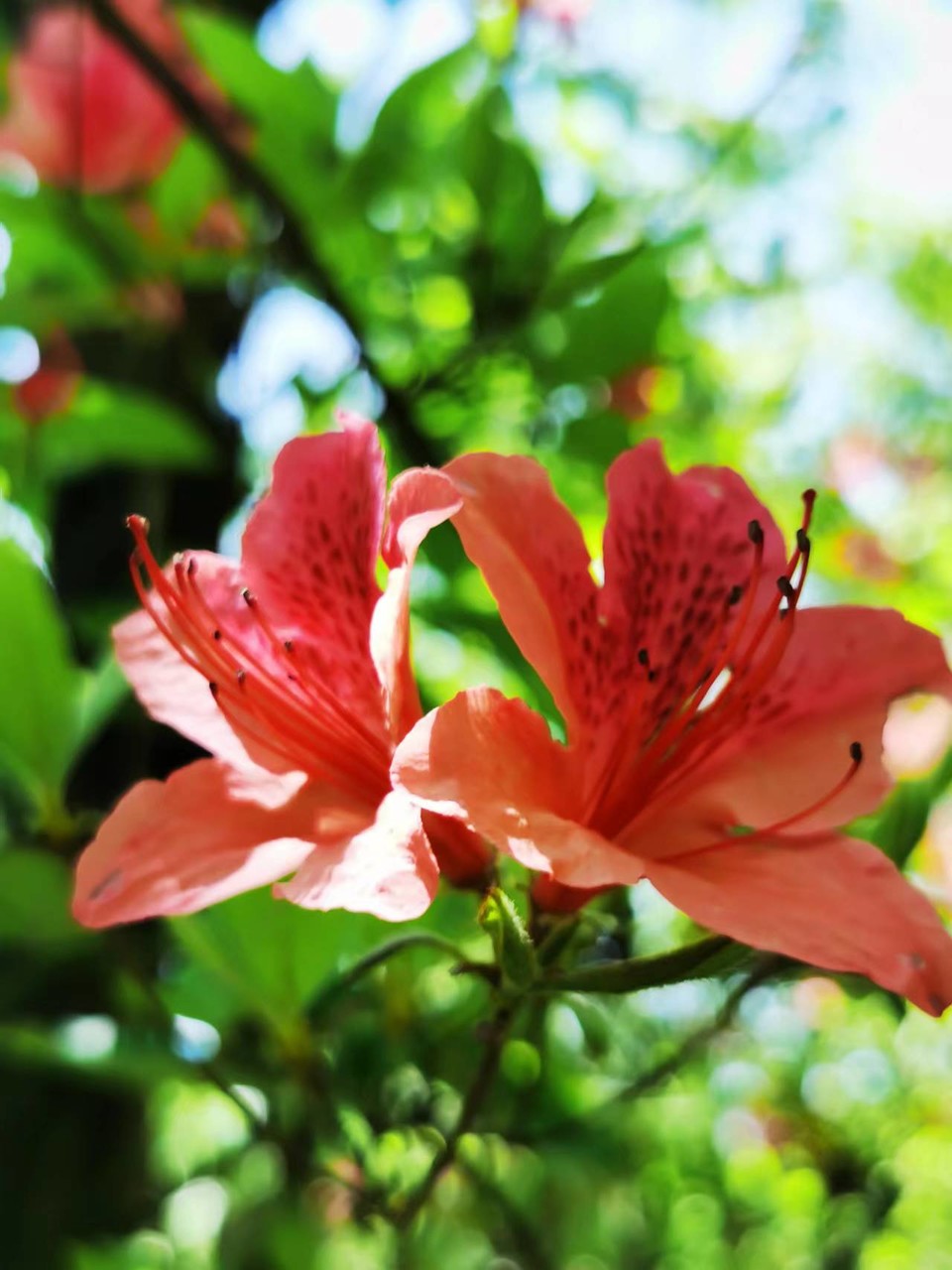 FRMn3OE-PQ1rxlkp44nRBb2o3mBl9PC9zbykms0CjY_SXYu8-wHCK1DLwUoNrph8