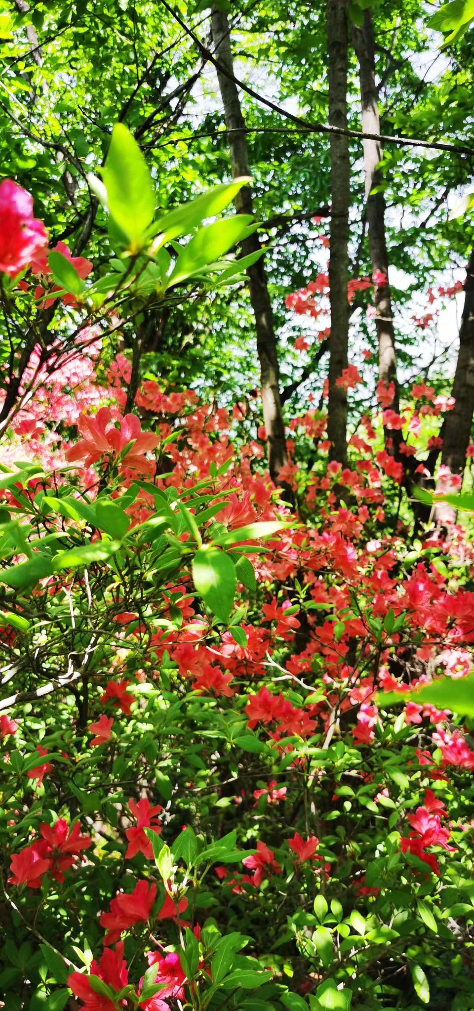 FRMn3OE-PQ1rxlkp44nRBdE8wtCXv2tZoAhFylZUpxuBU4AThsAliutOtlLojoKf