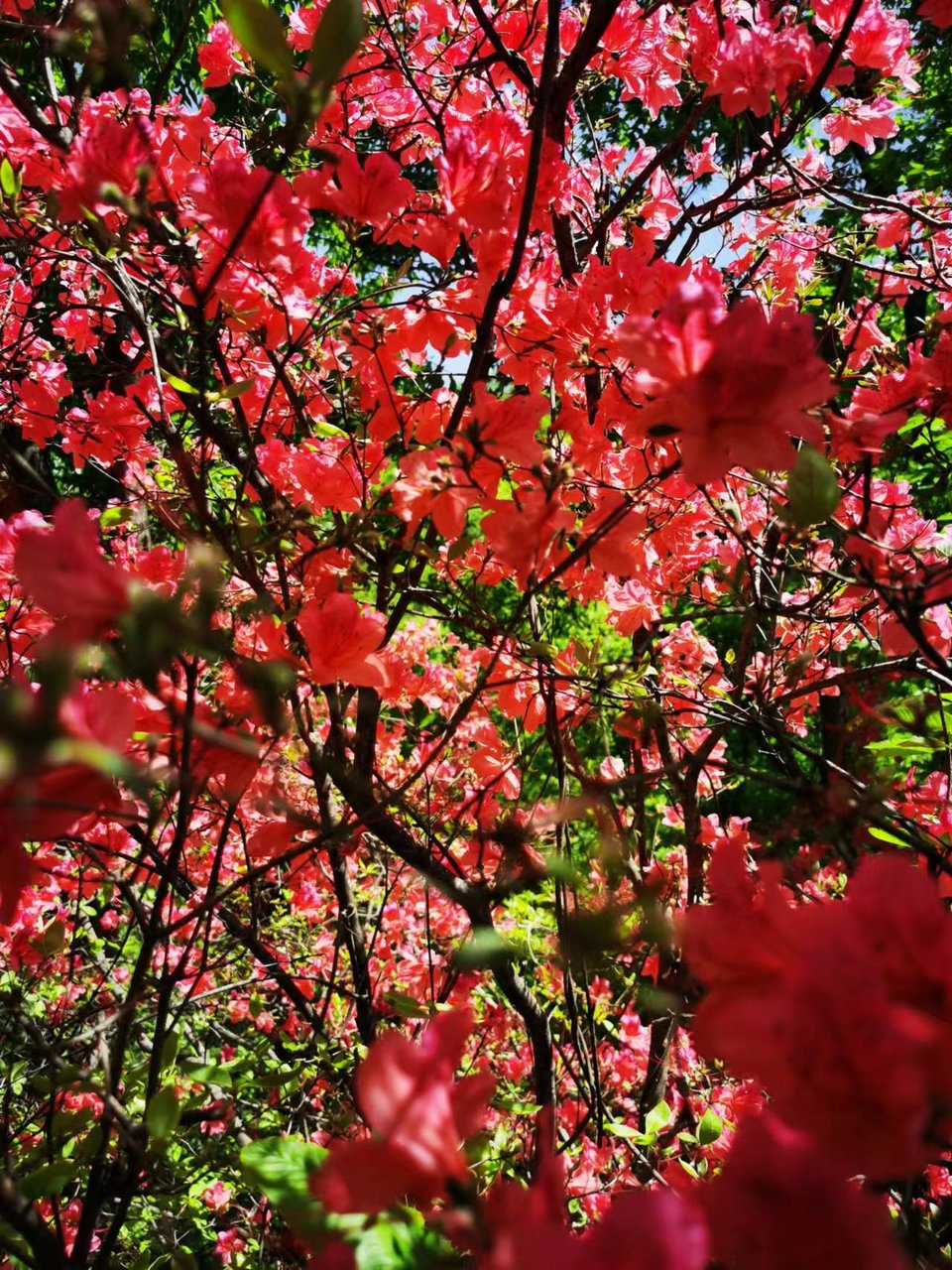 FRMn3OE-PQ1rxlkp44nRBVTRl8saZgNotkJRrb74mGWxCEOnYPVWloe3r8wdUePm