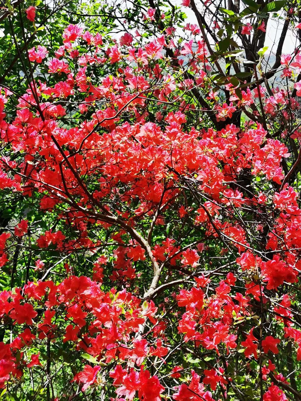 FRMn3OE-PQ1rxlkp44nRBUd7lXUnKk-lPF3uIPeGtas-T9O0FdKlqXTw3OLeyNNl