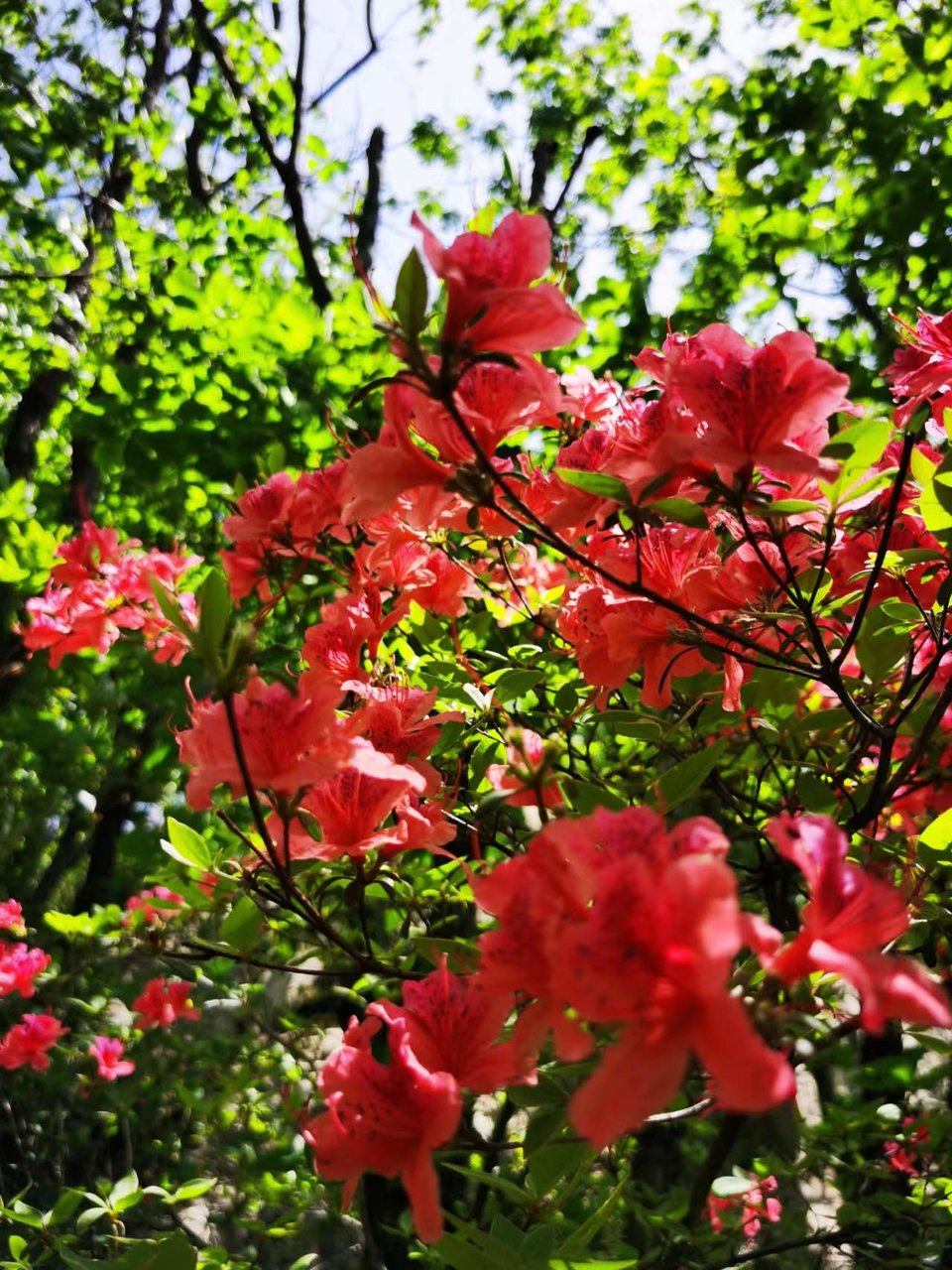 FRMn3OE-PQ1rxlkp44nRBaiUuXjhuvKY-Xv6YjaipUovwAnpgNtoHydlZFkmIlVU