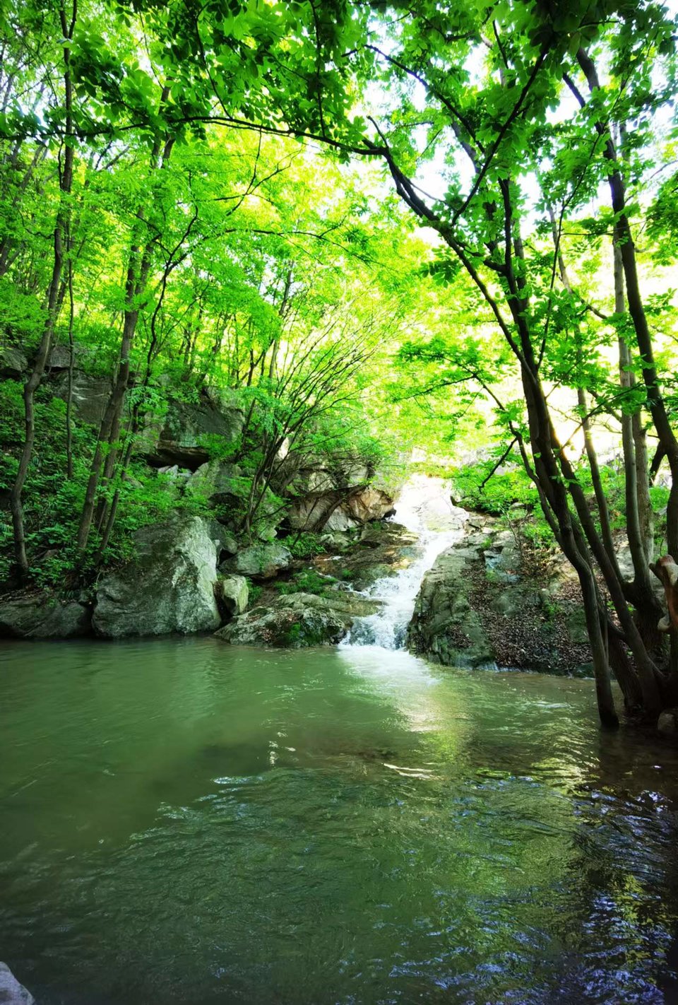 FRMn3OE-PQ1rxlkp44nRBT0KaCVDX6_2OLpe1LdwIpk-kFacRGJpjo7Vf3FtRXOE