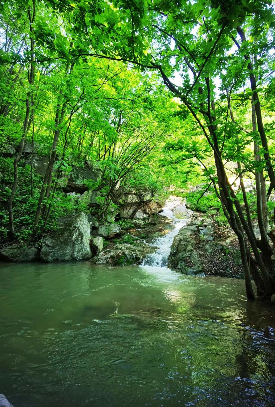 FRMn3OE-PQ1rxlkp44nRBauT0vjSaG1c6BcGkaibrieIL7RBMsfVSdLCD5XGK3gz