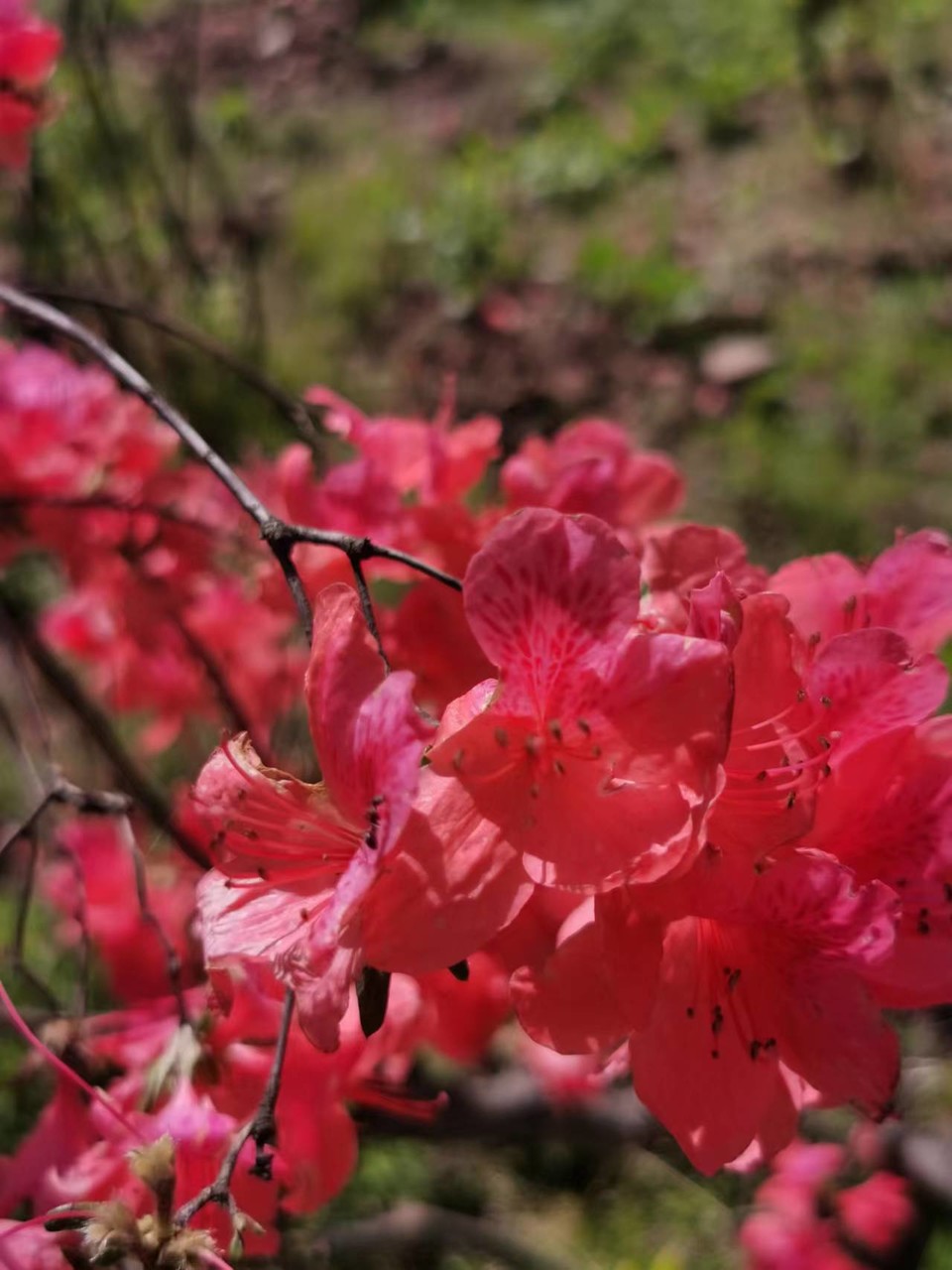 FRMn3OE-PQ1rxlkp44nRBdXAr7GYGzumPzh-Eso-fuL2TNmqK6iMC1oEnOMLdBbN