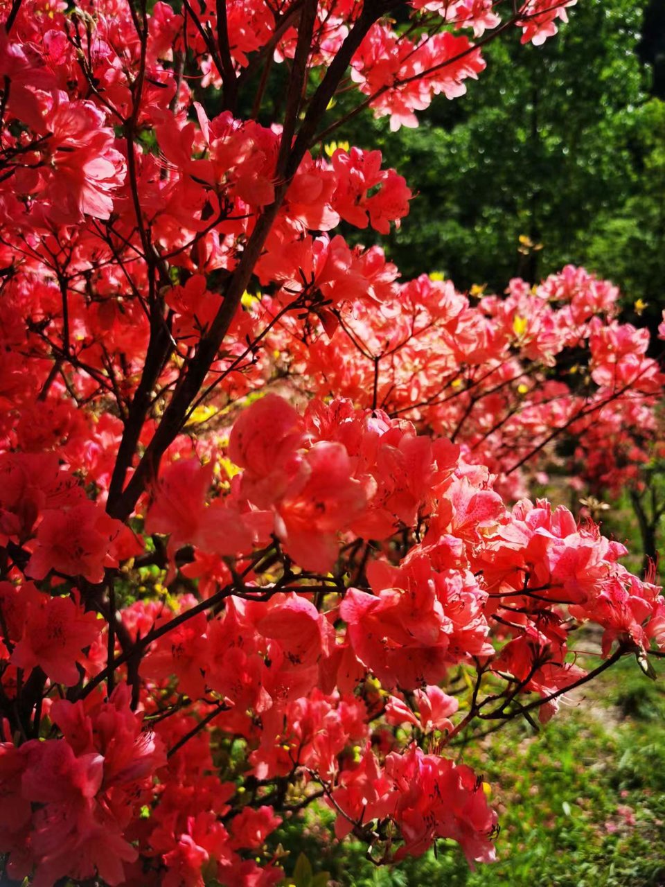 FRMn3OE-PQ1rxlkp44nRBZUu9vAIiCQ1_3JpYYpOeZQD_2fpRk9EulnxQVD7hGN_