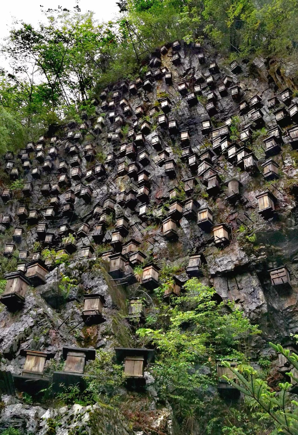 pwkSFXpVRUnjnYuKisUzn7IIb0N91nXrWZqAWoODiDQOS3pGRJwJCjjakOhTAI_L