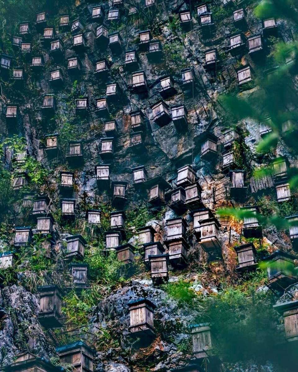 pwkSFXpVRUnjnYuKisUzn00zP4d_GMi5J93_6lwDAXwuLiZom9GP6Mm0EoqfynnQ