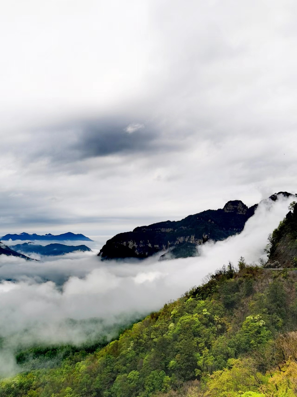 pwkSFXpVRUnjnYuKisUznwyg2iSpqIZH1u_EaFQdx6vNMT2hIoCciEuoCsUCwzVh