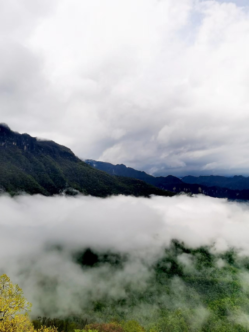 pwkSFXpVRUnjnYuKisUznz04rzLweAvwzXYCvhfQIvg5RBkkvGVXF3twppMglNqY