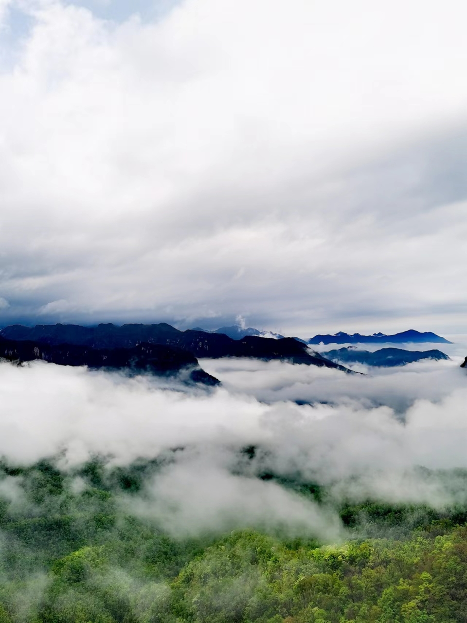 pwkSFXpVRUnjnYuKisUzn9DAfHohc8J9GOTZcE2Mw-Mmyh4j8n1tAsOEngIzyDOD