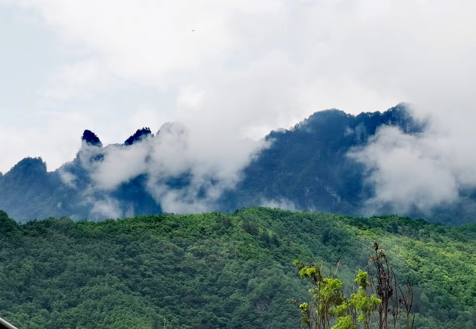 pwkSFXpVRUnjnYuKisUznxTn6jZWFbFL7BPoJM4wKNbO-I162lEMhhjbNLXOmzTR