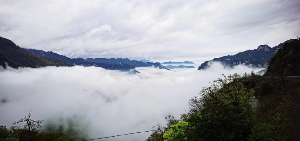 pwkSFXpVRUnjnYuKisUznwcTYreUmSfvQVExYJv2PAhsl6T7gIsUWjtNQ103O5x7