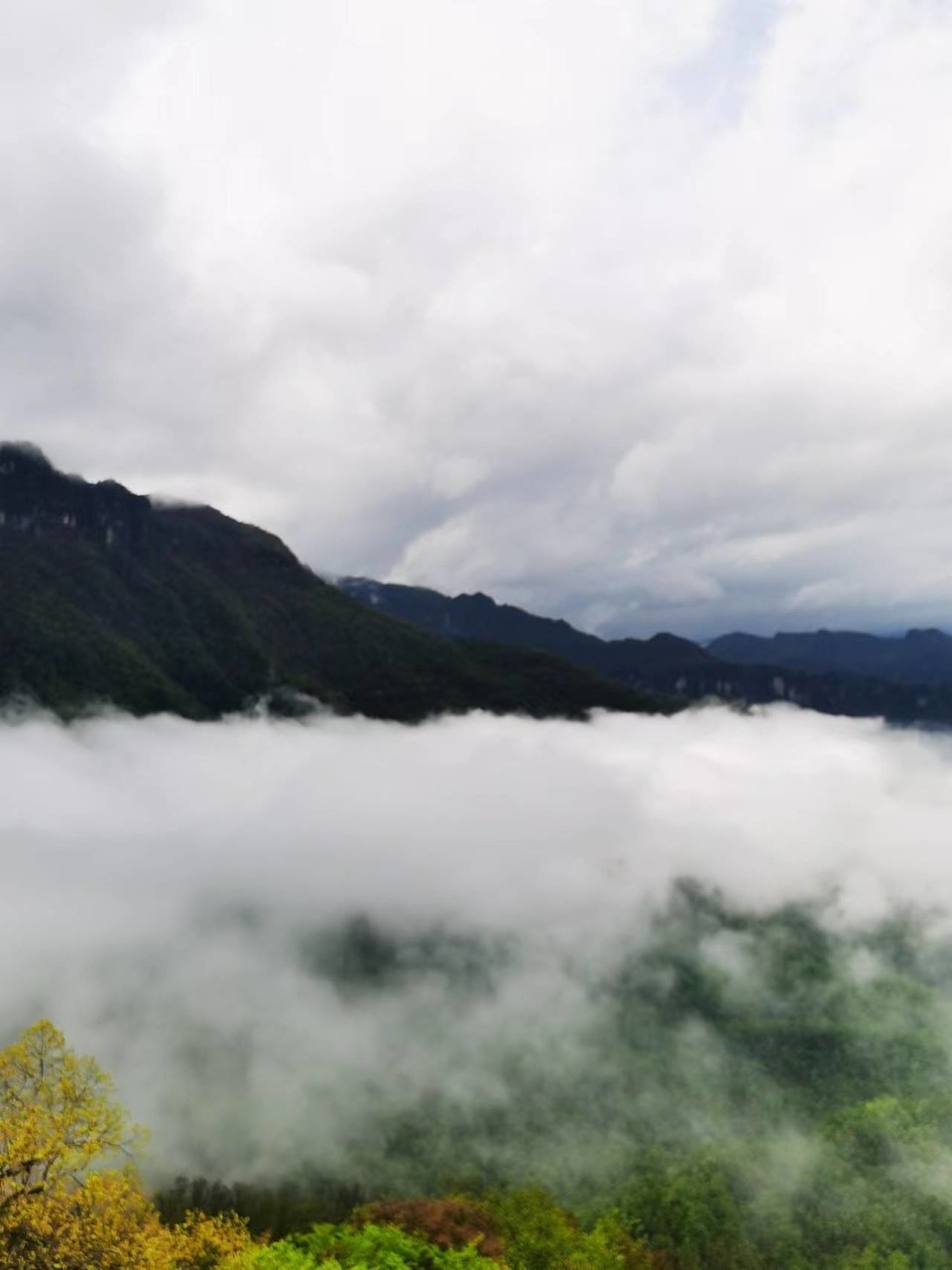 pwkSFXpVRUnjnYuKisUznx3jkIPTpUGiRGPKaqTaFCBVxVSvcjFM9ttZFVWWs3FO