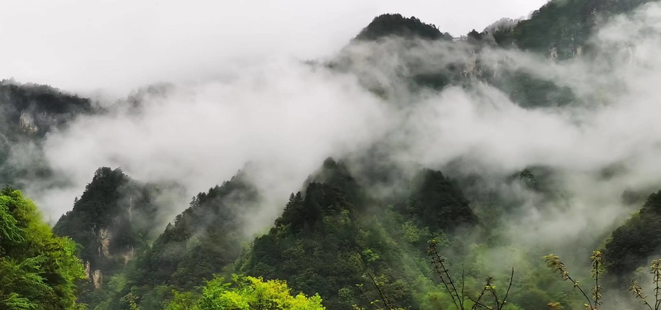 pwkSFXpVRUnjnYuKisUzn1GwRARUCCV-KFjMUuhrr7G_EA4VT7WErU5KYarRyL76