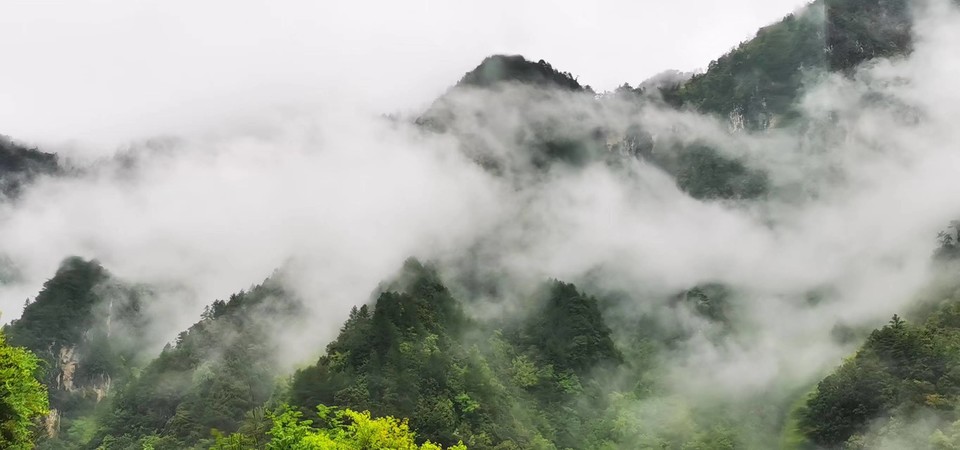 pwkSFXpVRUnjnYuKisUzn8cpGSb244QRbP0iRFFIFJCtF4RV8EMSluly3XsfZXOo