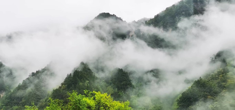 pwkSFXpVRUnjnYuKisUzn1Vr1wneDR3y3Qp7TAOi4zAVdRpUqBDS3nxq7yWoYs8c