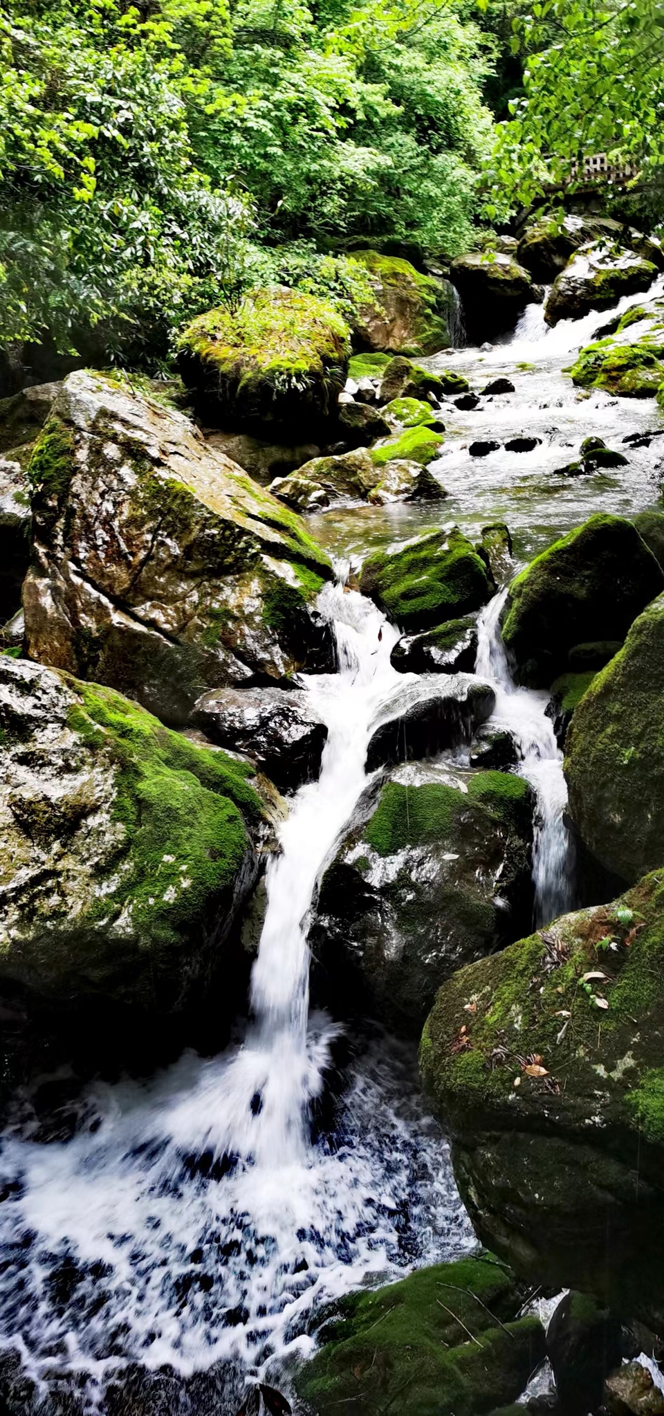 dLkqzDXEIKeXs8AXqbBe7KdGWoUHKzq6o0UEmZ1mf6PDj3WwjO2LUc-V_WXCyWw1