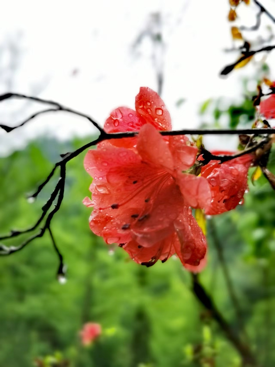 dLkqzDXEIKeXs8AXqbBe7MtWI_-aNRTd0AARQkWBok1D-iY2uc0CQnuPX1m9jJOB