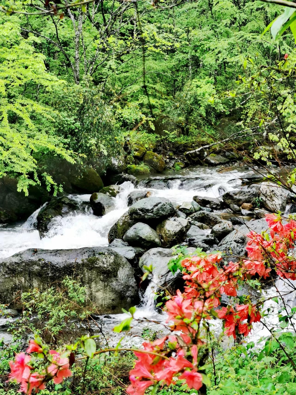 dLkqzDXEIKeXs8AXqbBe7PUOKUiMxmI1K-ZqFVXyTwH86mU8AB0t5ErctFKRPHI9