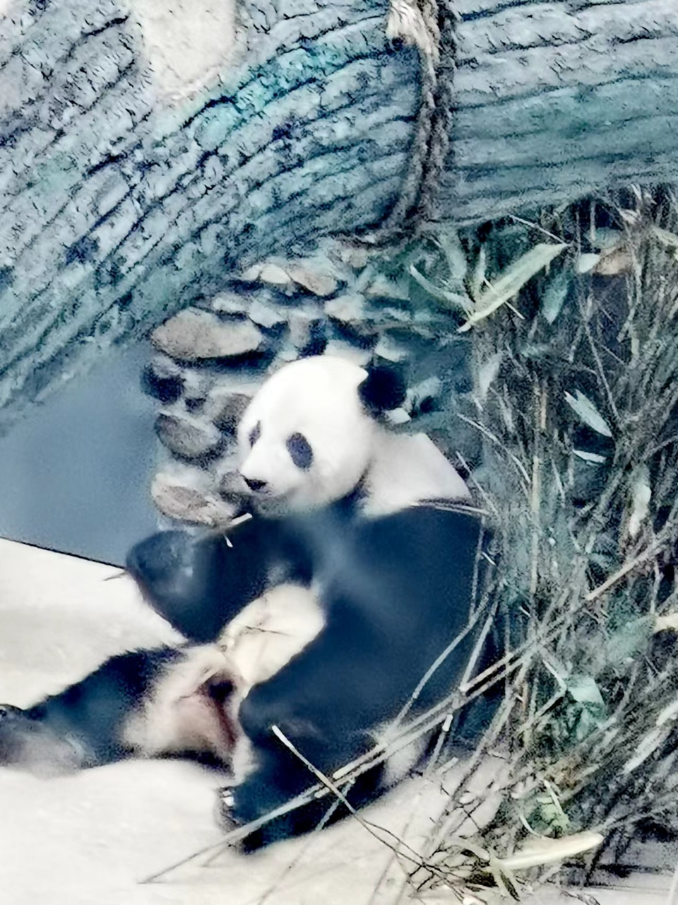 dLkqzDXEIKeXs8AXqbBe7IOgy0v_uT4CN0Dwp0qo3O_p4rTtUHqzrvQGqeA-iexV