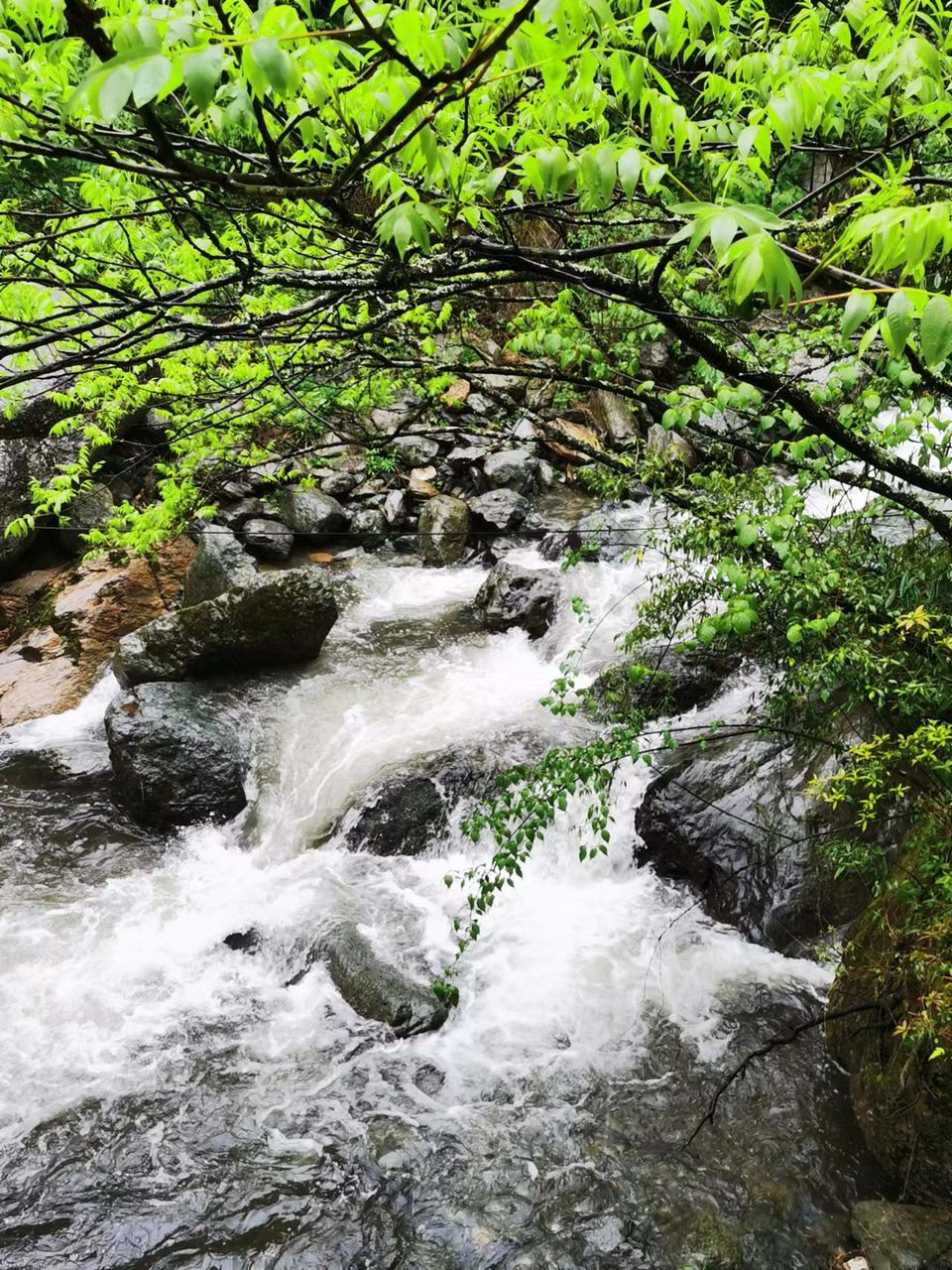 dLkqzDXEIKeXs8AXqbBe7GbkD19VoF2tWOsCczNA0DWYYhLzj3y45m_fp6RdomWC