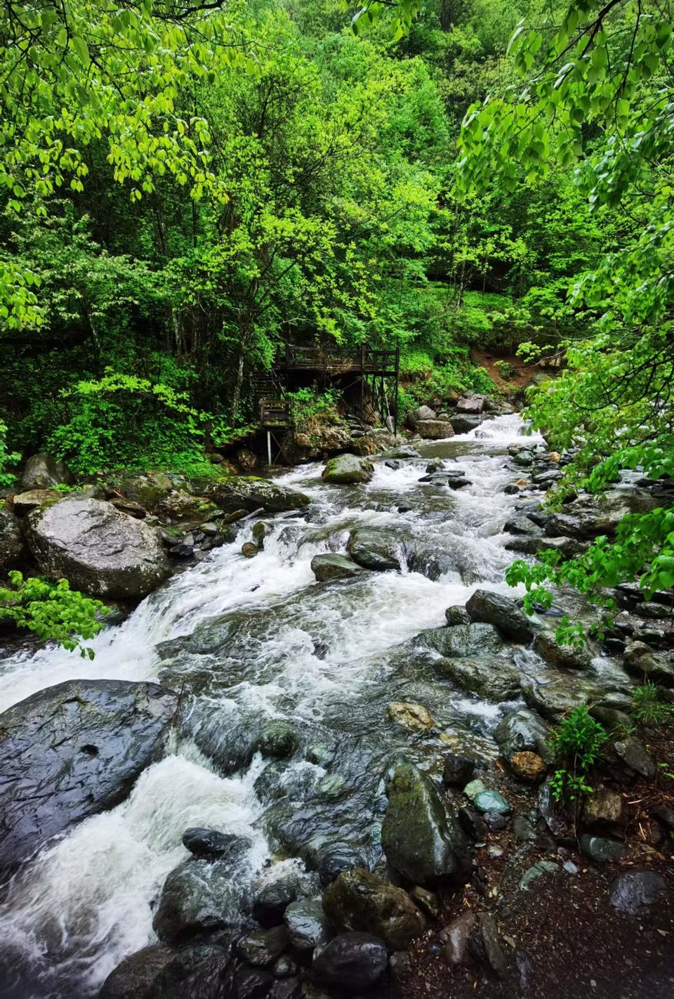 dLkqzDXEIKeXs8AXqbBe7CsOnyTdPSx_W1pDkVTOx3sk47rmQTMzGwhXEBlG17fv