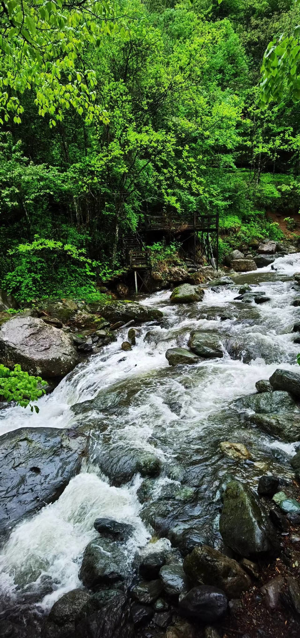 dLkqzDXEIKeXs8AXqbBe7Cv3NsQCy1Dkl_9QleJdhUV_62VGhtSUH6zqKY2_cCe8