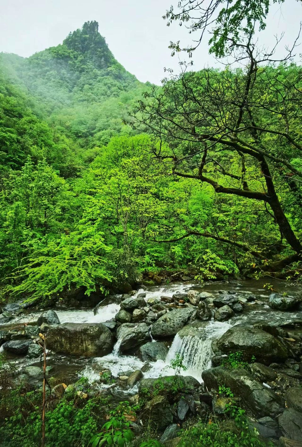 dLkqzDXEIKeXs8AXqbBe7BdGt6id2G8pvZMRkx5R93X_QCv4_syxSdc6Rg29DHxS