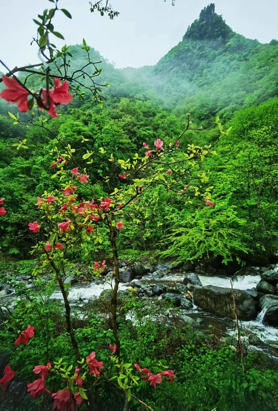 dLkqzDXEIKeXs8AXqbBe7E6OluZjlPO_r7pRofP3xRuwcXfmR8yhVtkUG7H2Pj7-