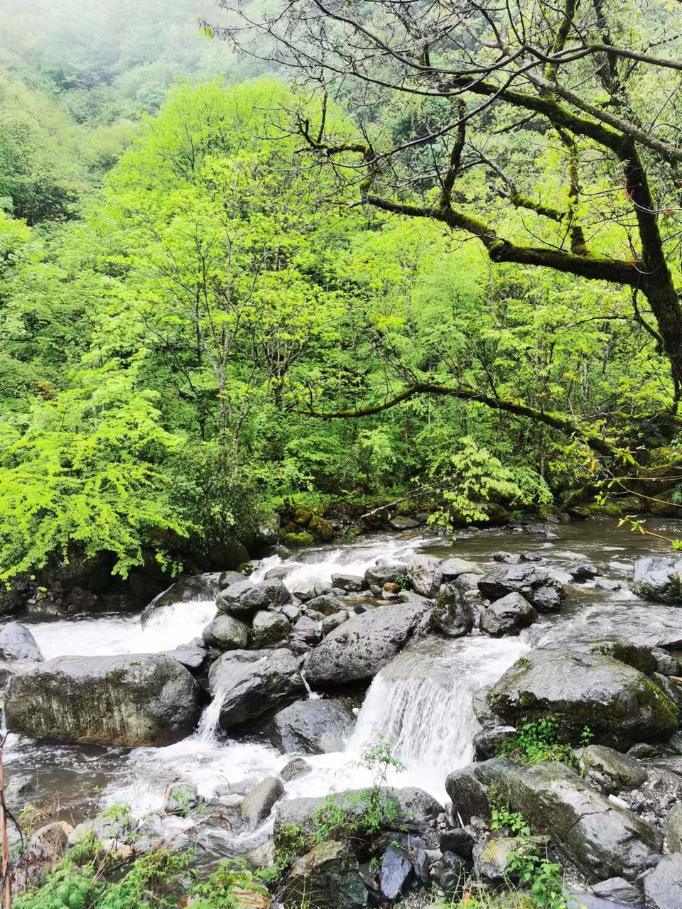 dLkqzDXEIKeXs8AXqbBe7B4ahYolec1l4TJkDokfNGX_qX84tXOR76pgz4uN__Fc