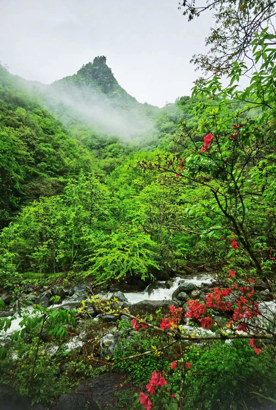 dLkqzDXEIKeXs8AXqbBe7GgCxfOgsbVJ2j0-OhFa-KNUq5dYnv6vo0Vp9AzYnFdw