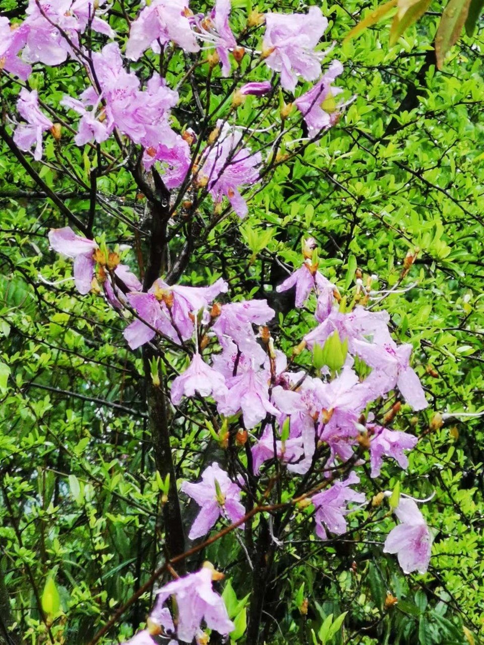 dLkqzDXEIKeXs8AXqbBe7JON_BiKOgTfaj8_784yHFVxiS0GKAvCn95UmK3DaMs1