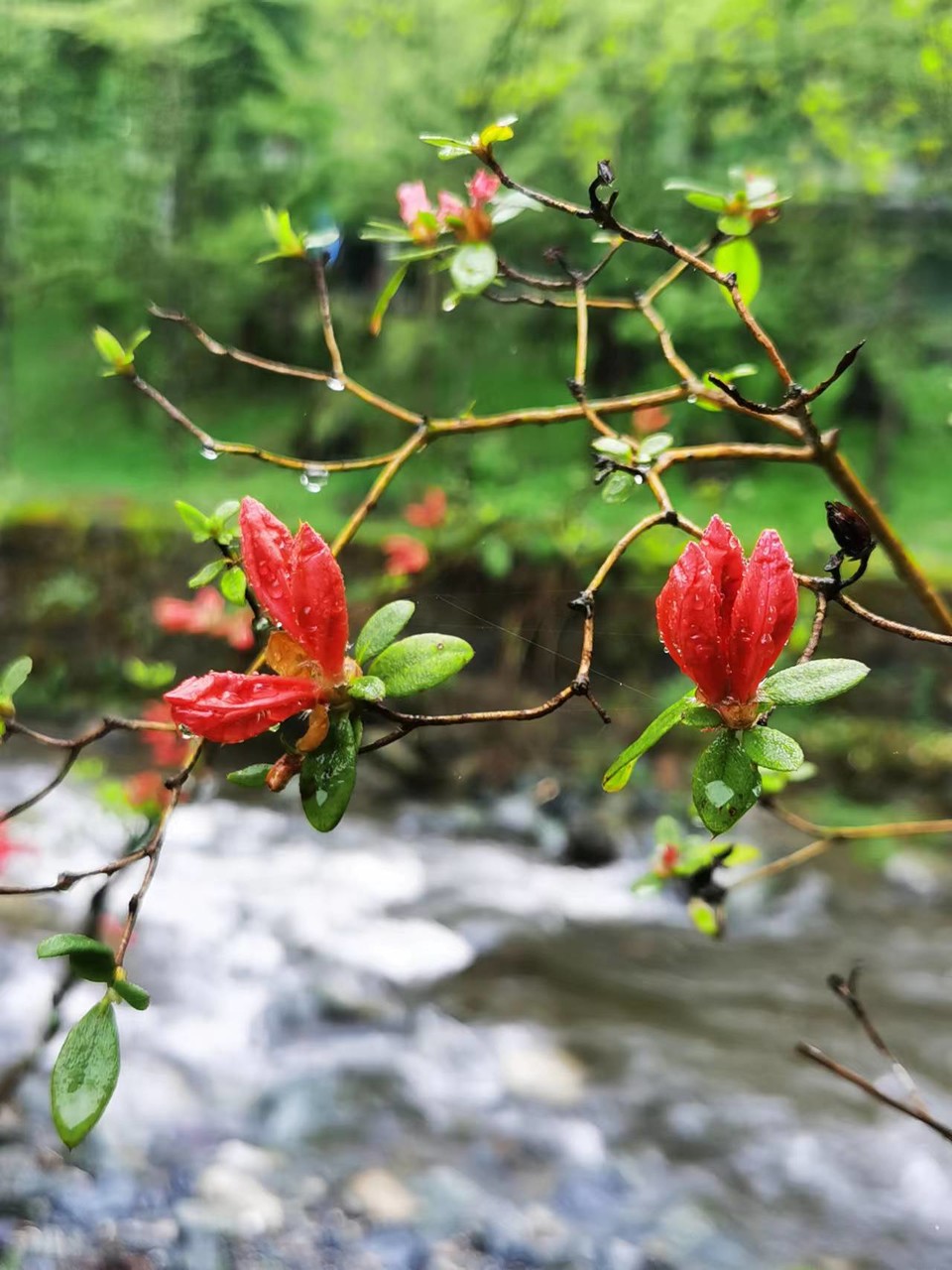 dLkqzDXEIKeXs8AXqbBe7C5xDHwiOyYhM6b2JqfpU0qtwIRkmmOUrwvZQSRhBUcl