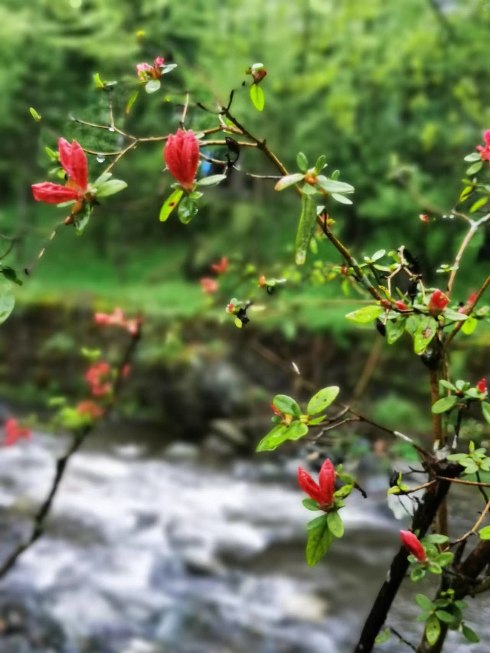 dLkqzDXEIKeXs8AXqbBe7B89hCg1xV66MBuMFZBUsUMcq4hYDDrg_E8Wk1WakT--