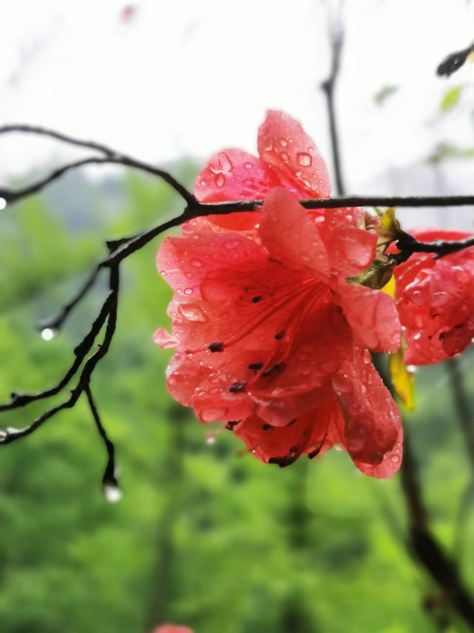 dLkqzDXEIKeXs8AXqbBe7GMWRY-SzSzcL5TsdG-TSlvWKGKoYJBty6mboa7Mt8BV