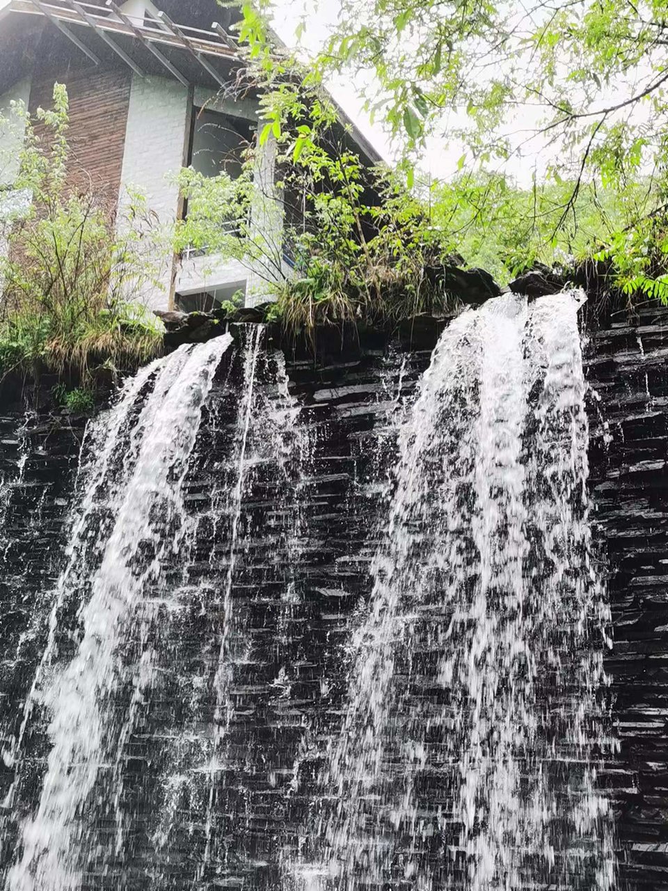 dLkqzDXEIKeXs8AXqbBe7G8NazZcyyWmDYi4nXVPOb6ctWJ79GAmc6OUwunp-ZU1