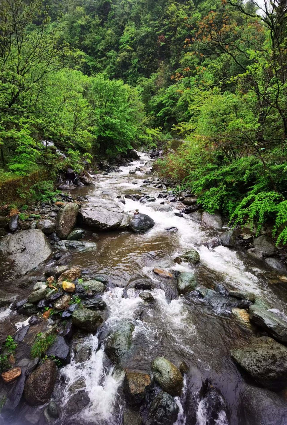 dLkqzDXEIKeXs8AXqbBe7IPaMZ-JzPQbfo9paZC4kaiLLvtIZMeu0aTD4oyeps4G