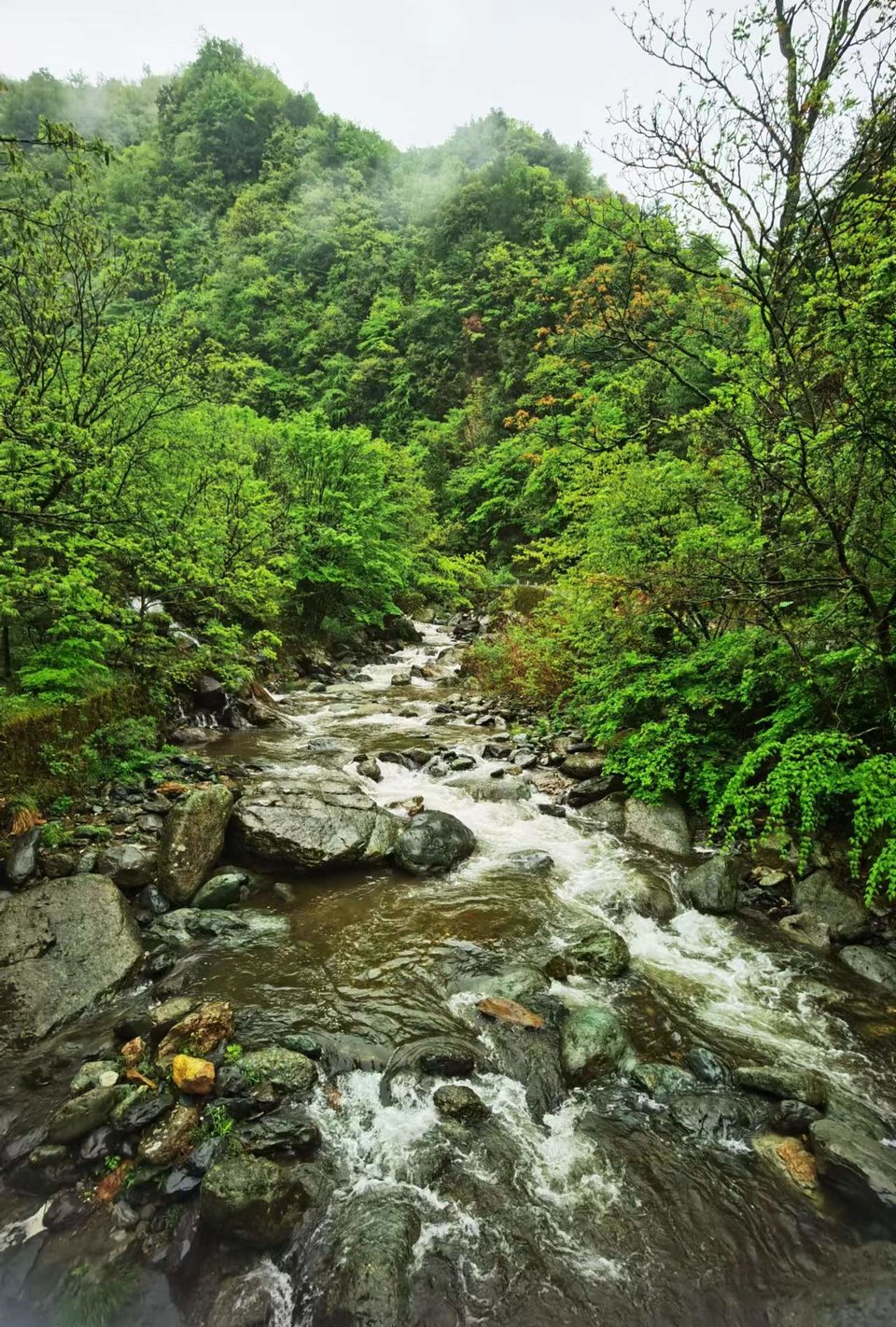 dLkqzDXEIKeXs8AXqbBe7KV9FW04B-4FNuyec3aYJDTcsP37vr-JXWvLjRoVyAfR