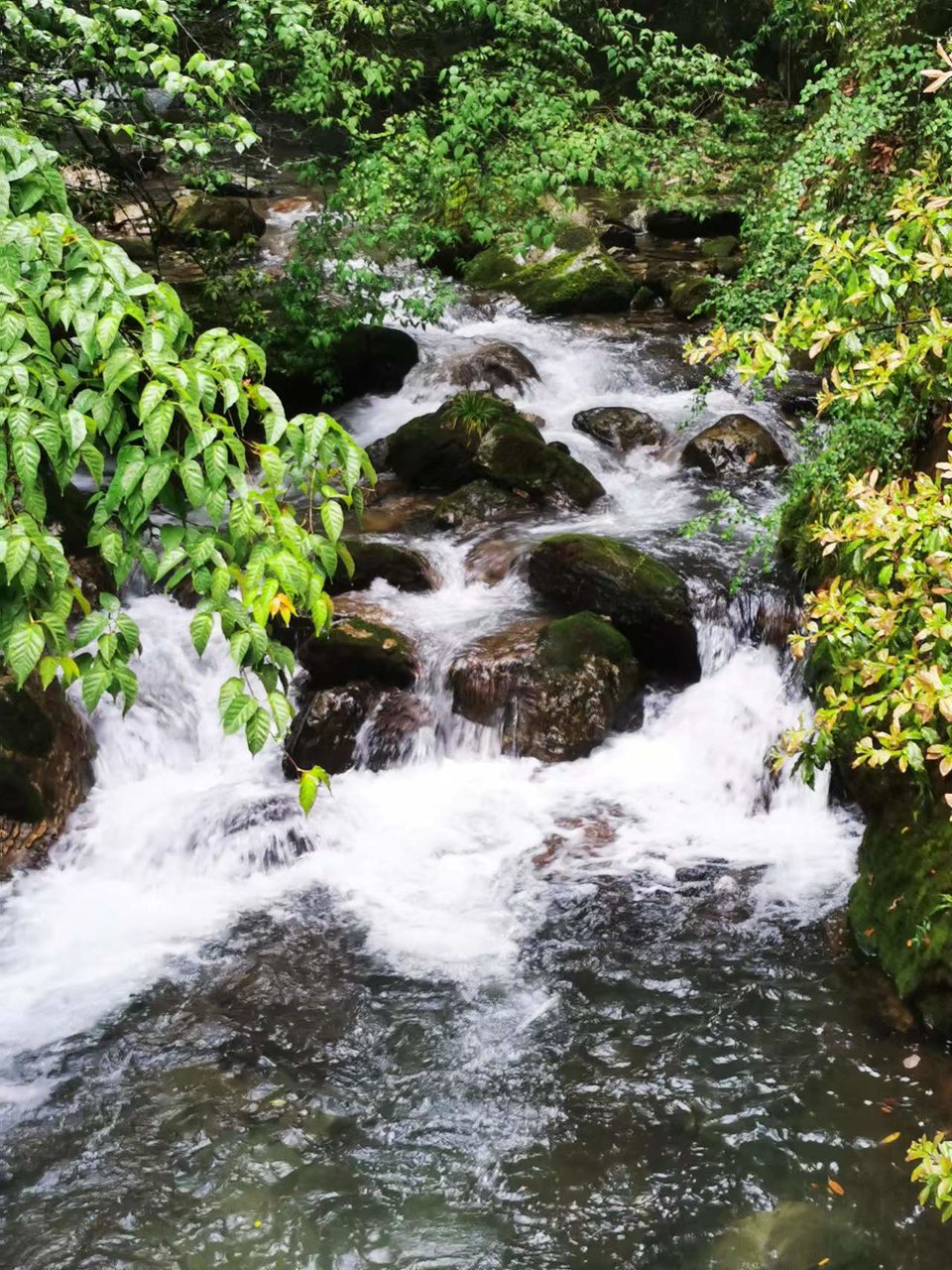 dLkqzDXEIKeXs8AXqbBe7ORnEPyecg0aWDq4NBJbPpz-ynU6AHxwGw5X2wkRW4sp