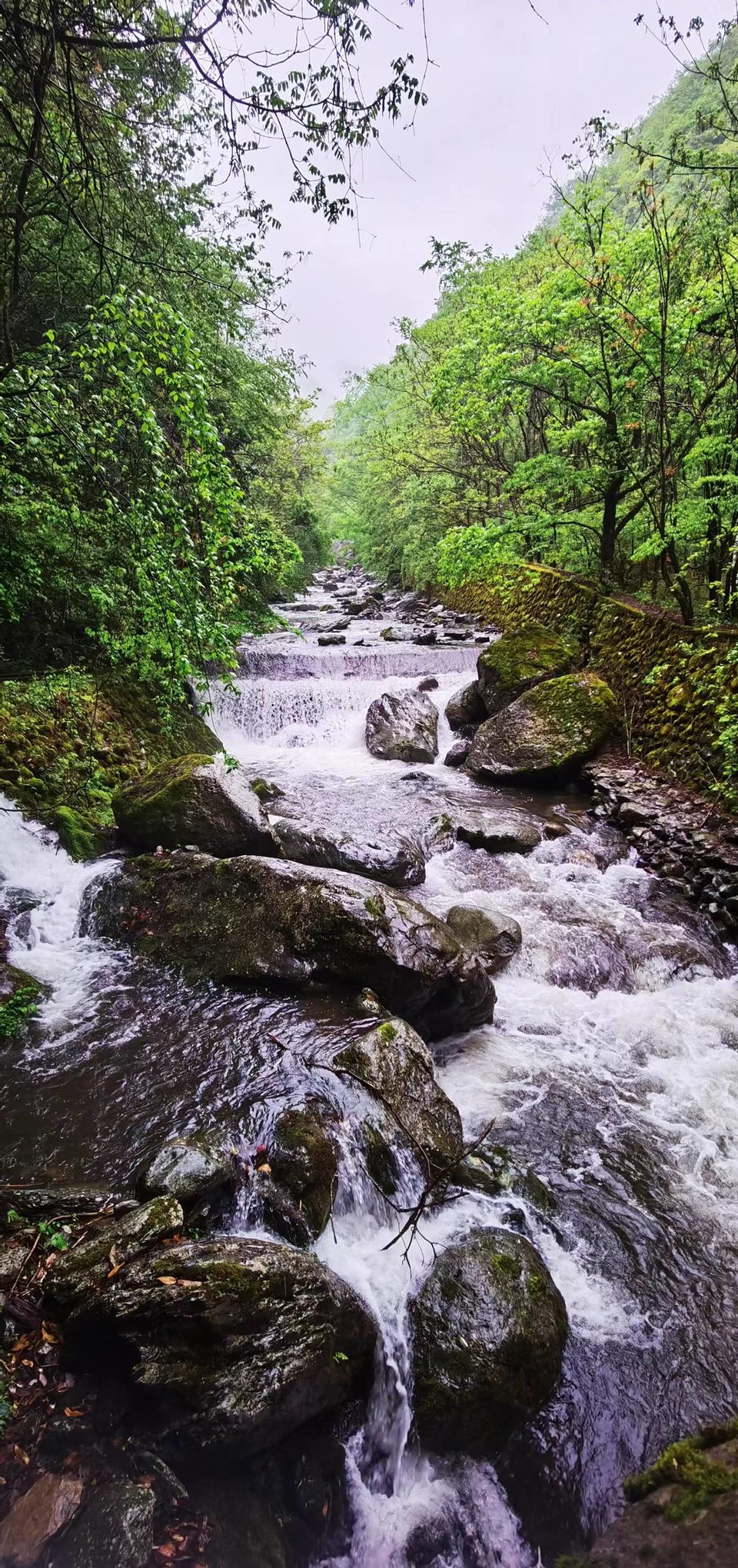 dLkqzDXEIKeXs8AXqbBe7LTfamrrrMcOdvQ7su_qM8XQMdZ2In79Y6_PamfSBJ-K