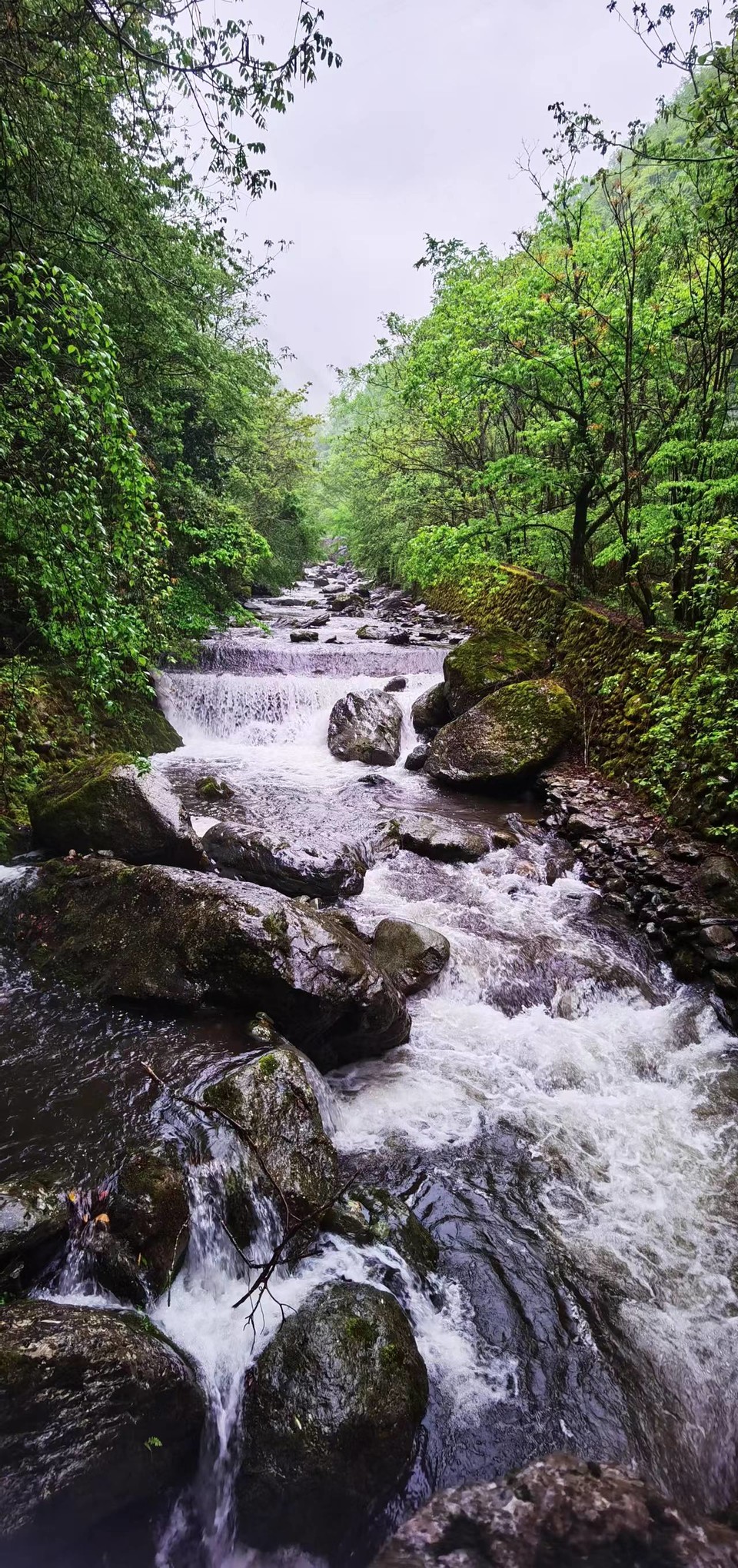 dLkqzDXEIKeXs8AXqbBe7LnDmQBDpqIFE6de5LCnJ2cYSlwOek5FBqevSyen-Faz