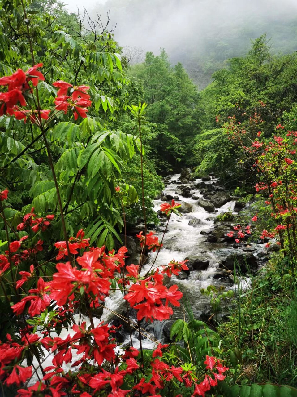 dLkqzDXEIKeXs8AXqbBe7MoeuUYIyydxsV_zaFR5o6RI0Atc3ne8PoCbnDMOUH9H