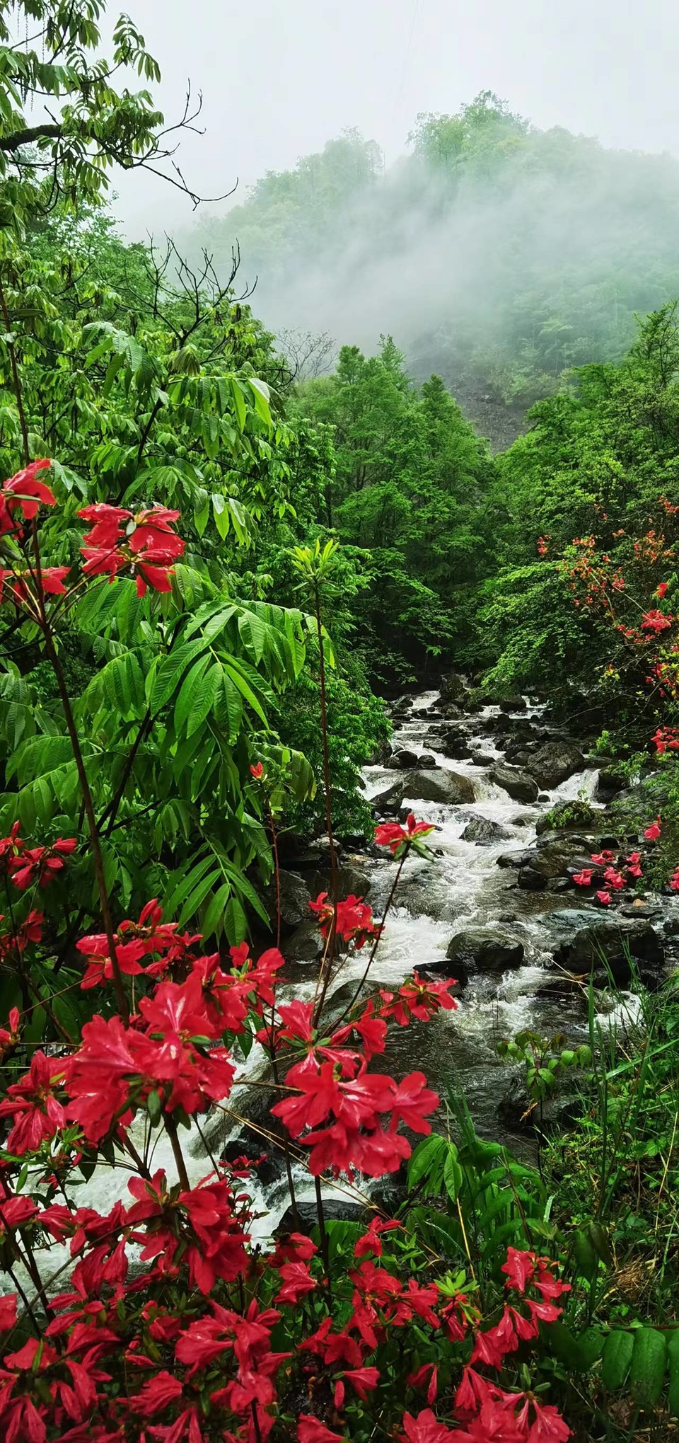 dLkqzDXEIKeXs8AXqbBe7G7wolhFhx6depsPBw3-2hRwnHItZQmuTT8_xtcz2JA7