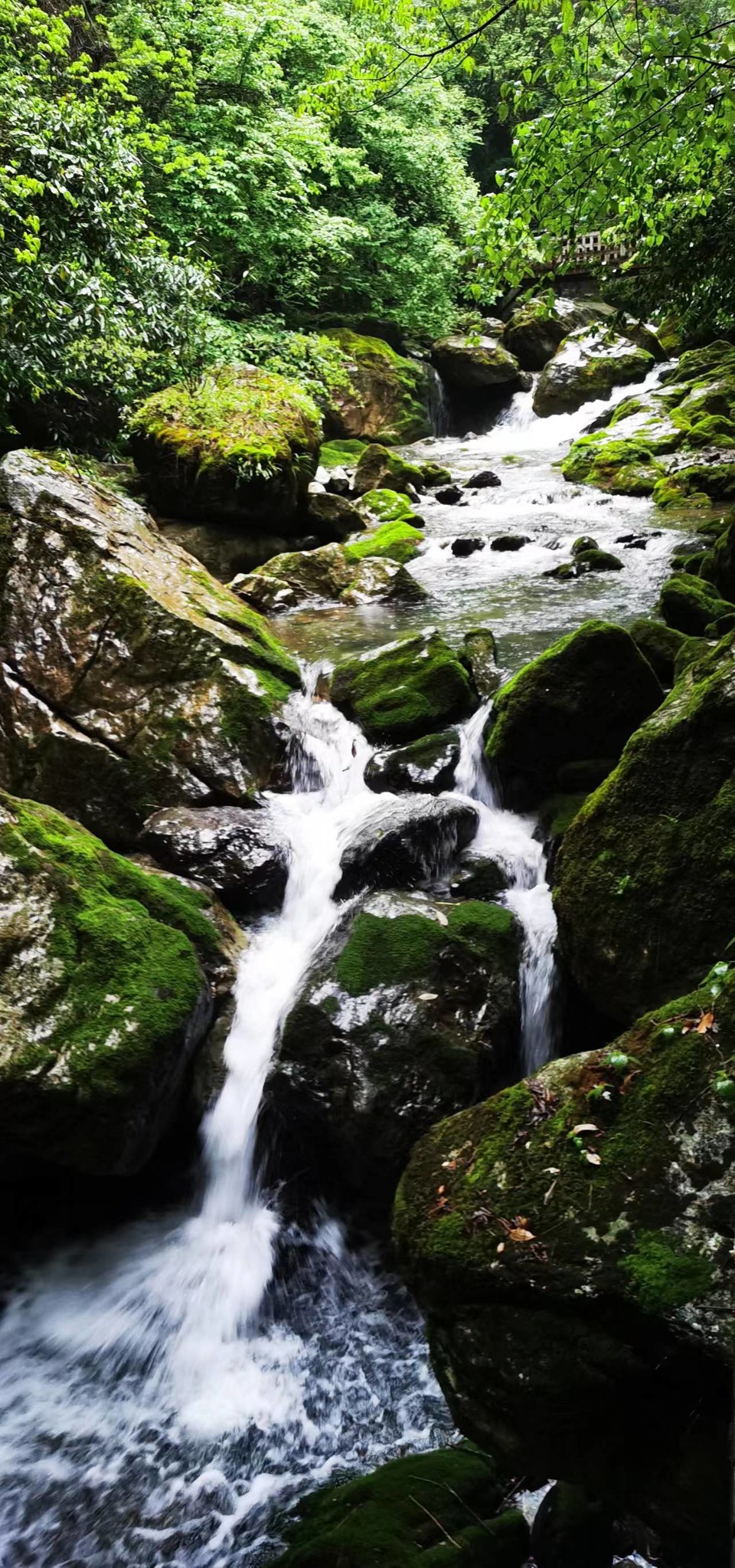 dLkqzDXEIKeXs8AXqbBe7AFHf_JrsZBNIChxaVlTsNm75Uve4oejdDm1Ot5lw1IF