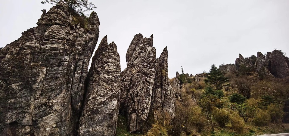 dLkqzDXEIKeXs8AXqbBe7Hn3nsvJDStbzREHEOYgwOD0f3DEMVT6NkY-Aq_hqHDg