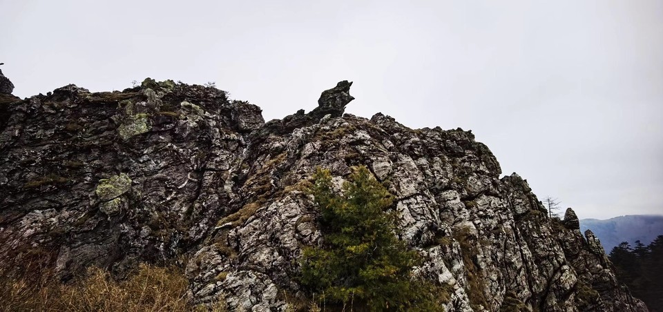 dLkqzDXEIKeXs8AXqbBe7M9rnJxSGkjN5R0JnrFjzQJsEIIRE_j6WlJVnSReFzLj